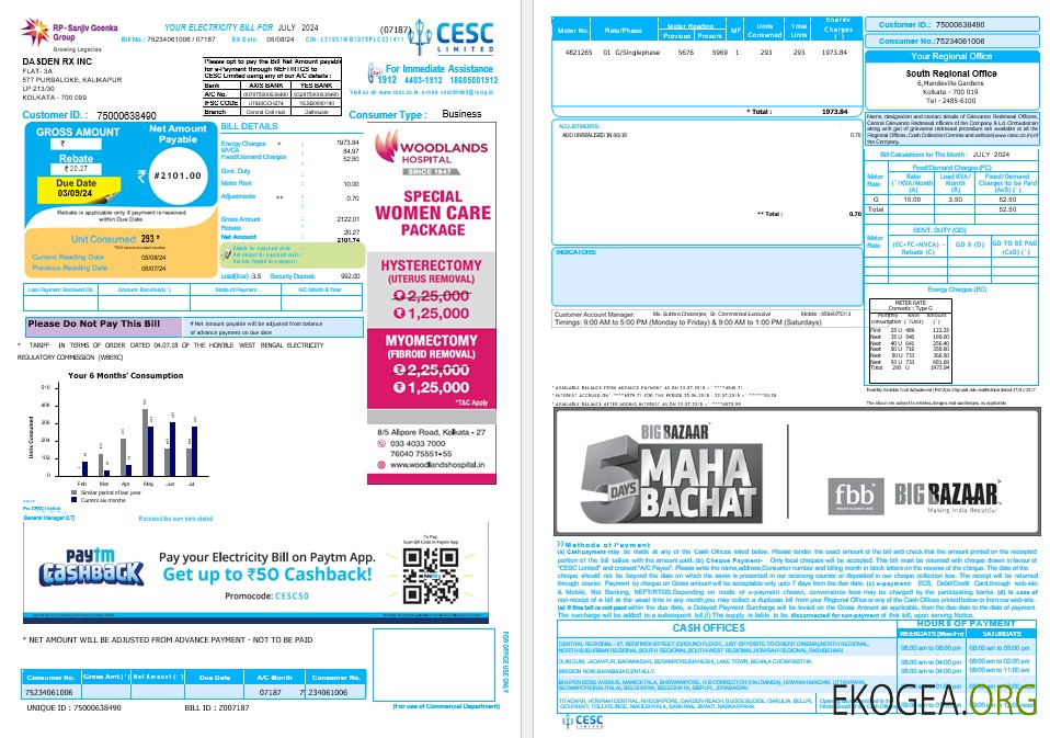 INDE CESC LIMITED Facture de services publics pour les entreprises Word et PDF